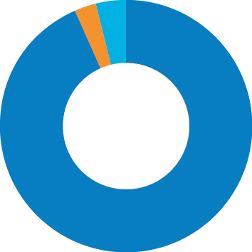 Audit outcomes pie chart